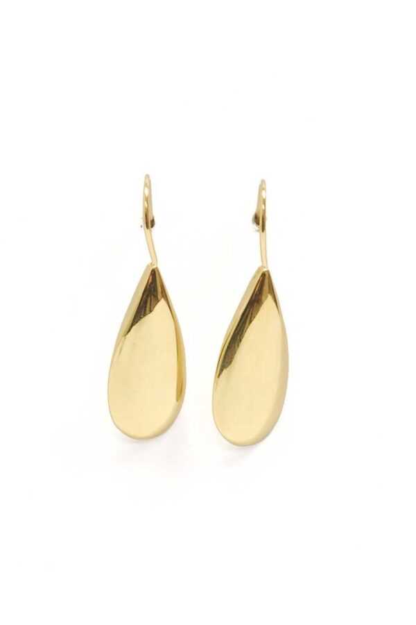 Boucles d'oreilles éblouissante